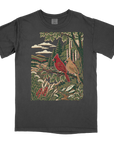 Crimson Cardinal Front Print