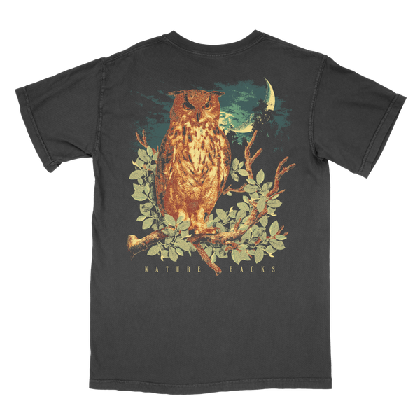 Moonlight Owl