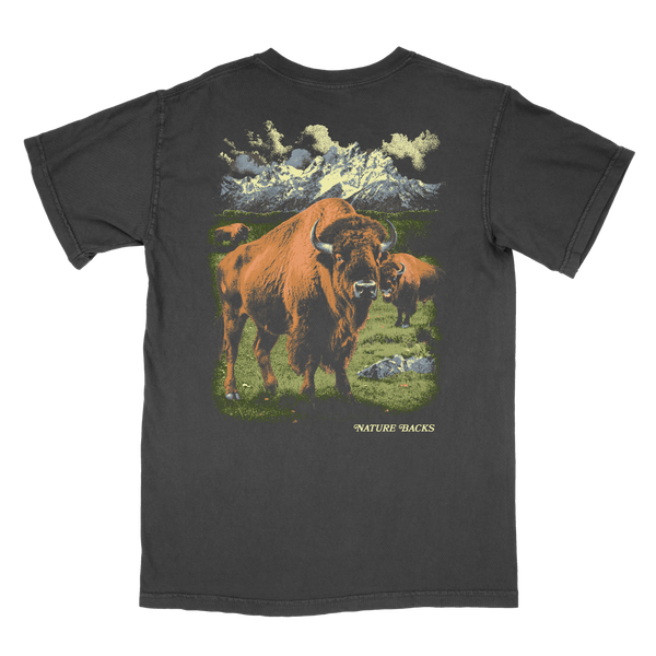Bison