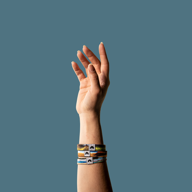 Nature Backs Experience the Moment