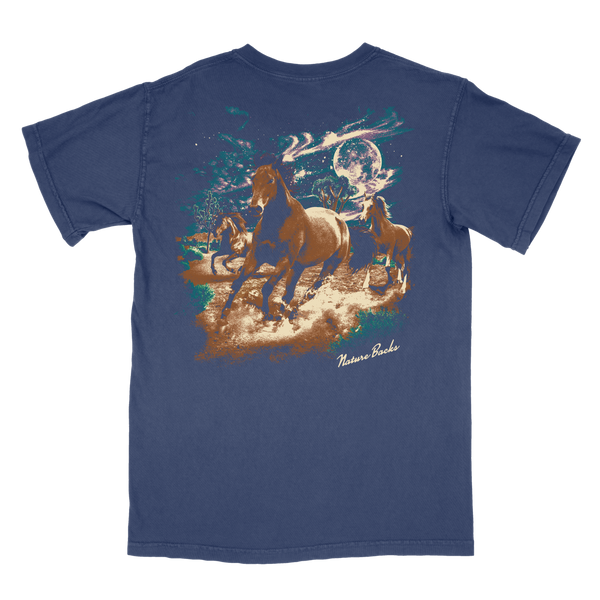 Freedom - Wild Horses