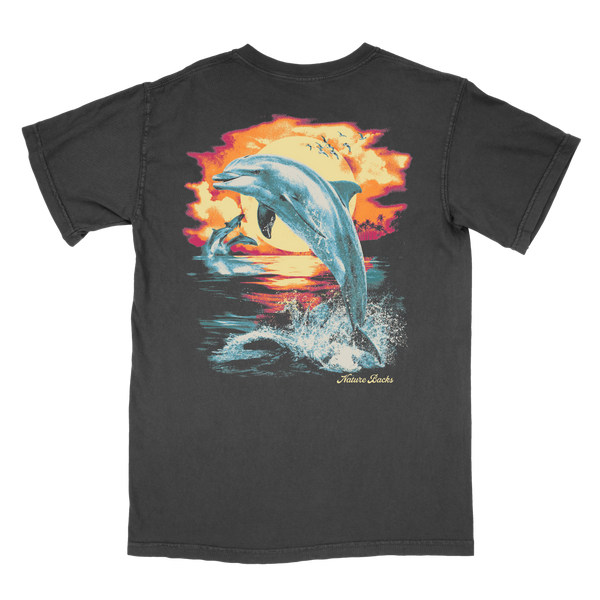 Dolphin Symphony
