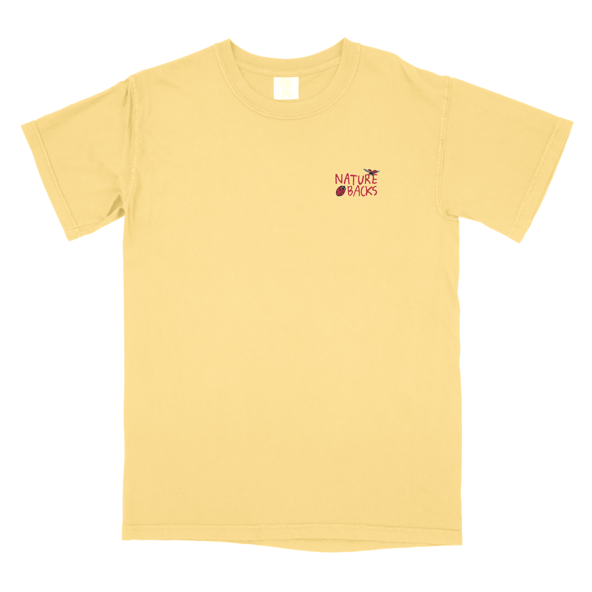 The Great Lady Bug (Shine) - Front