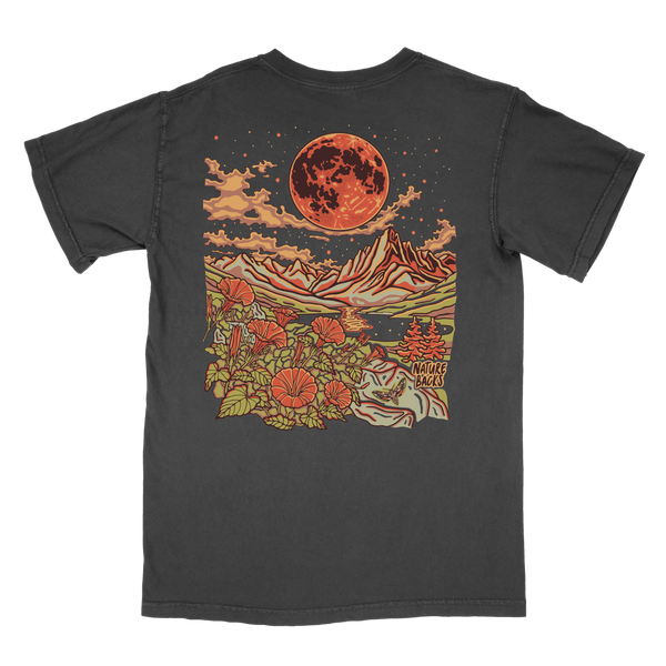 Lunar Eclipse