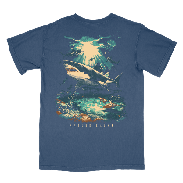 Shark Sanctuary