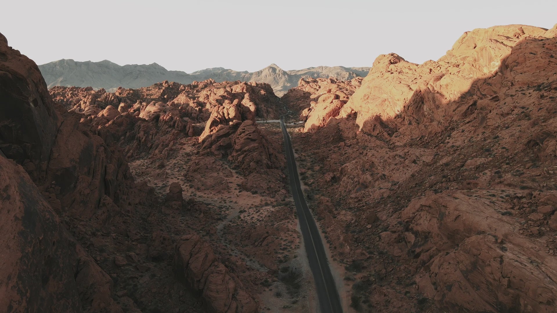 NatureBacks Video Edit In the Desert 