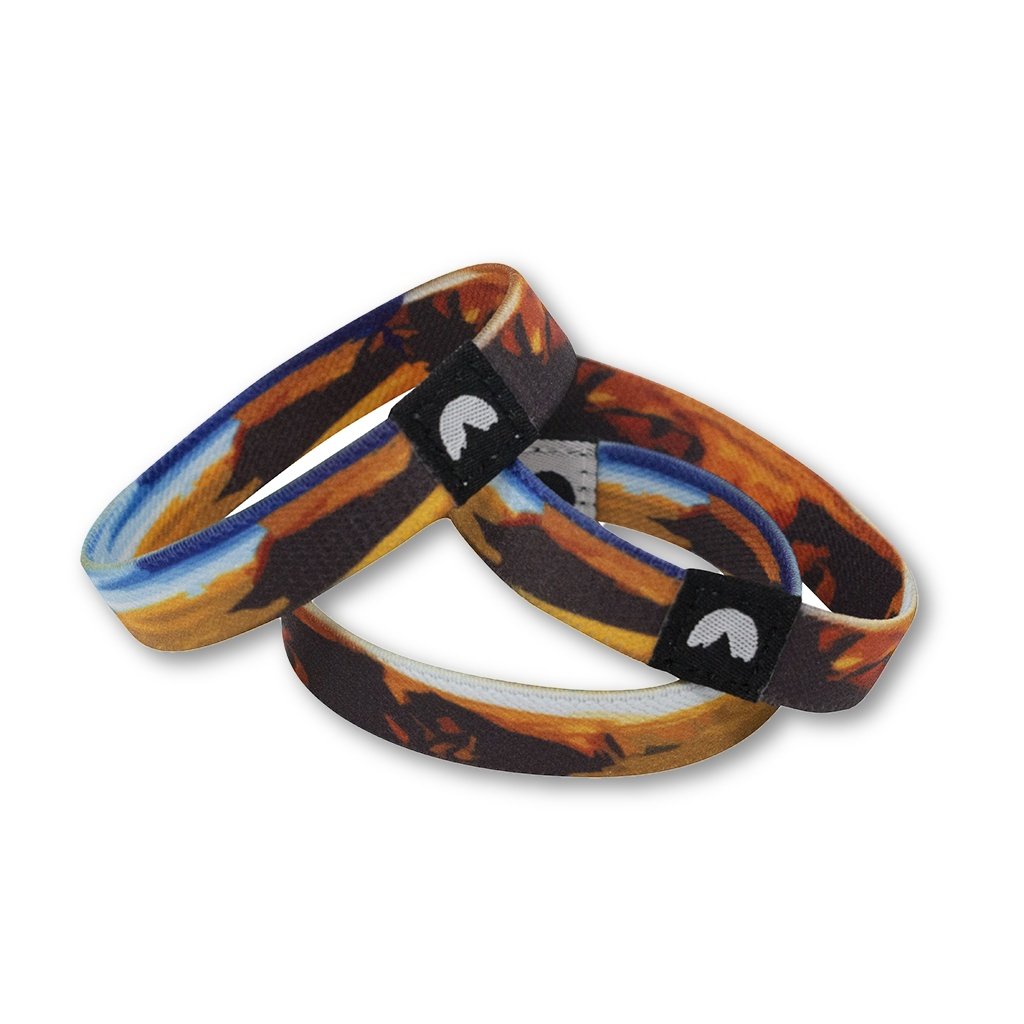 Nature Backs Flip-trip Bracelets | Zion National Park inspired design on a Reversible Super Soft and Stretchy Elastic Bracelet 